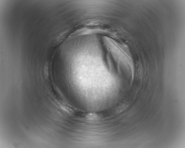 X0000068740562200605192348