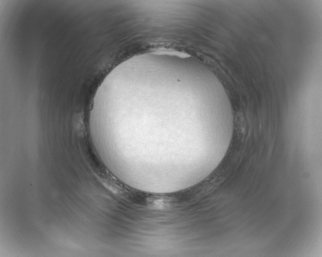 X0000068740564200605192348