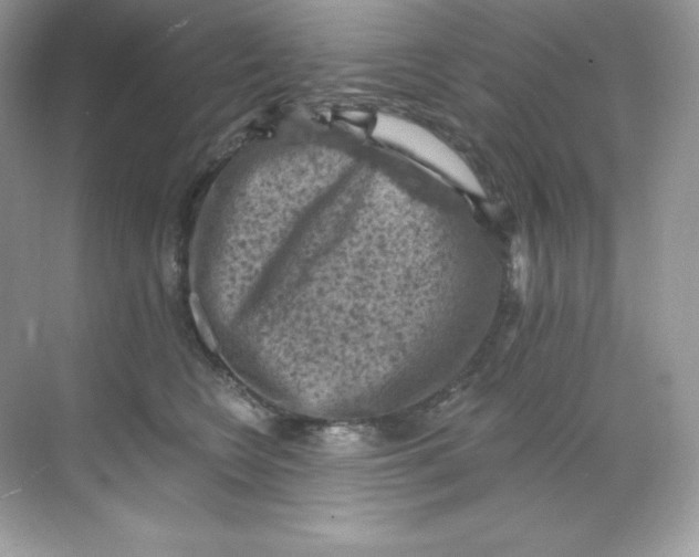 X0000068740566200605192348