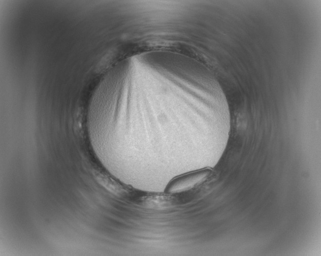 X0000068740567200605192348