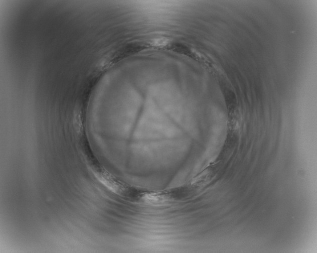 X0000068740568200605192348