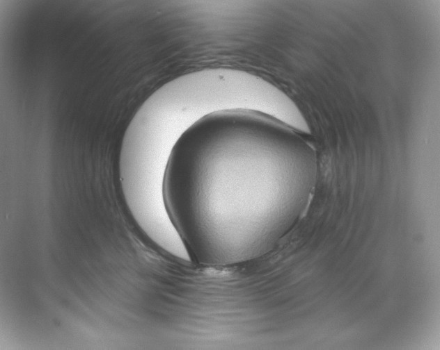 X0000068740570200605192348