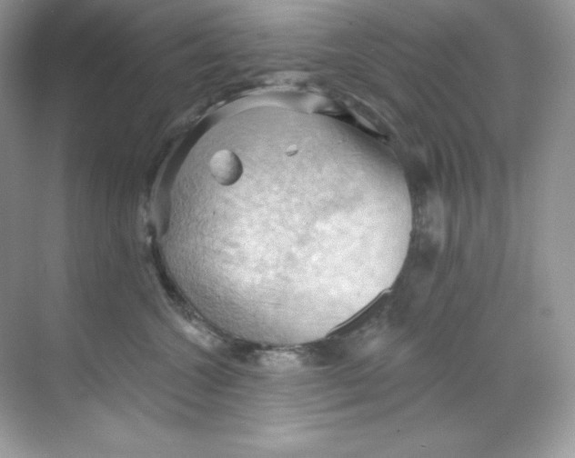 X0000068740572200605192348