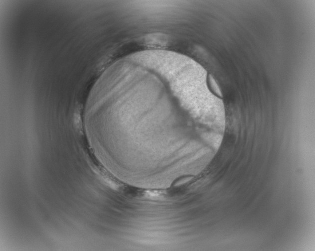 X0000068740573200605192348