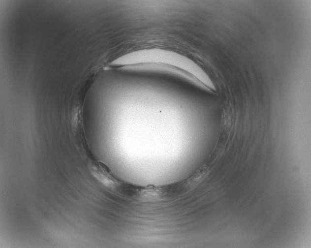 X0000068740574200605192348