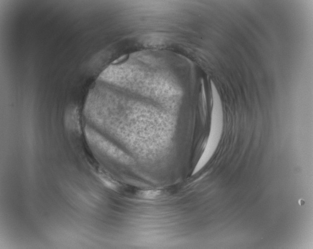 X0000068740575200605192348