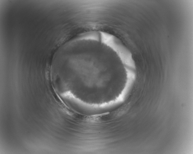 X0000068740576200605192348