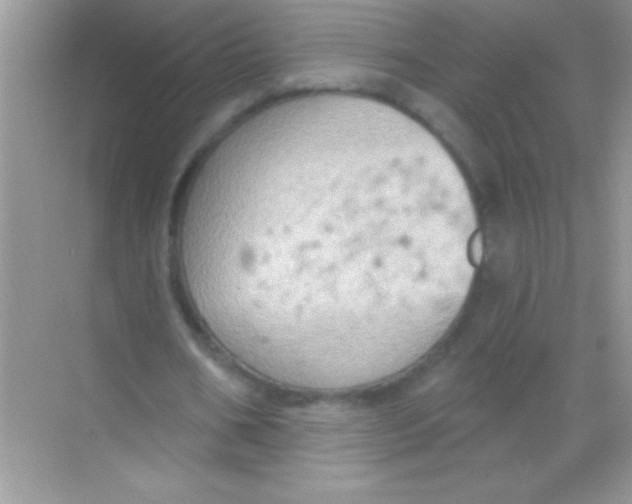 X0000068740578200605192347