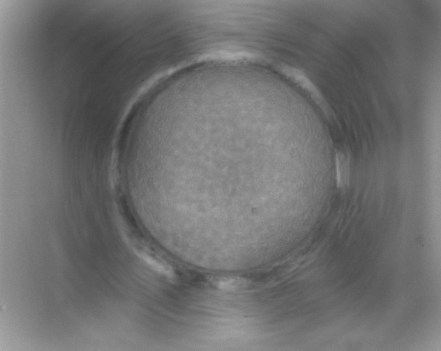 X0000068740579200605192347