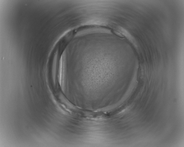 X0000068740580200605192347