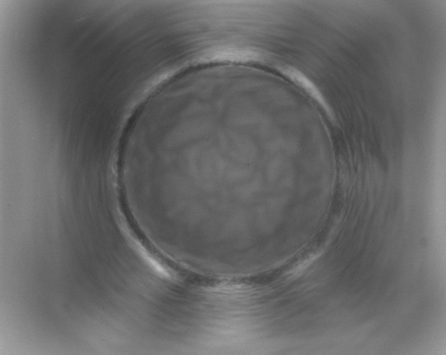 X0000068740581200605192347