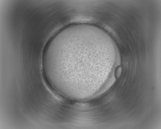 X0000068740582200605192347