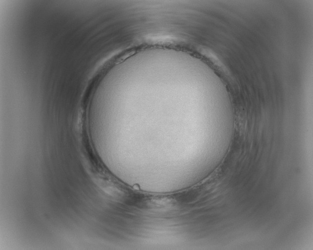 X0000068740583200605192347