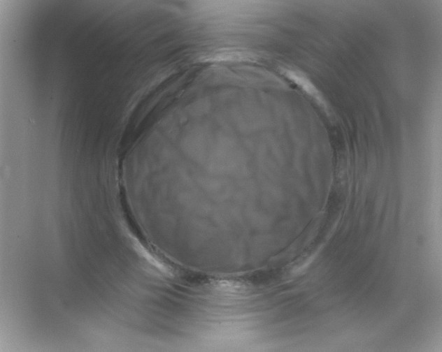 X0000068740585200605192347