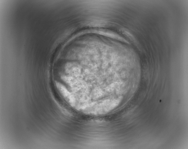 X0000068740586200605192347