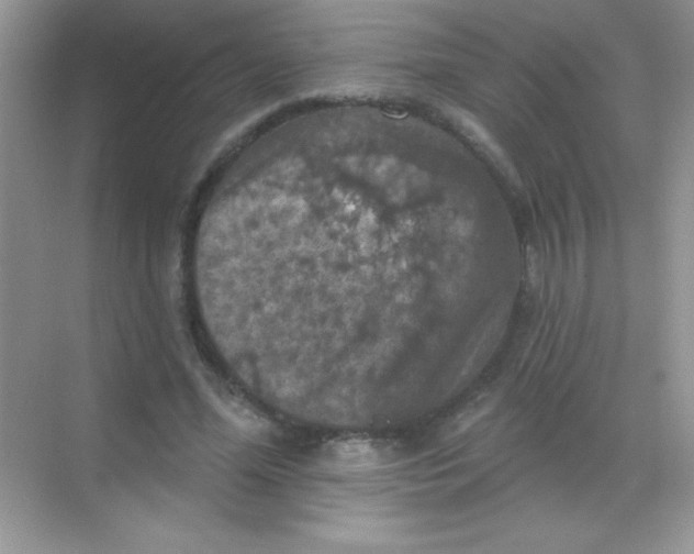 X0000068740588200605192347