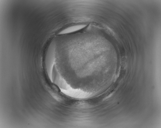 X0000068740589200605192347