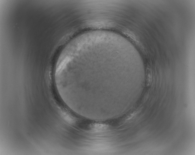 X0000068740590200605192347