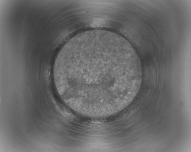 X0000068740592200605192347