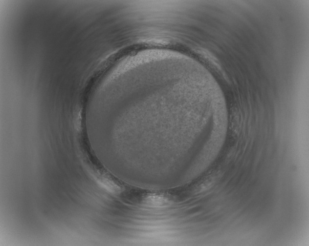 X0000068740596200605192347