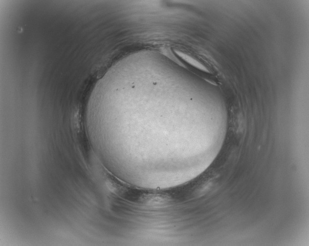 X0000068740597200605192347