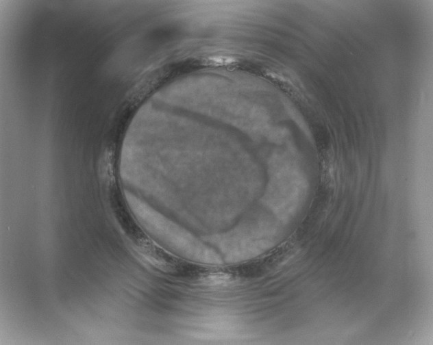 X0000068740598200605192347