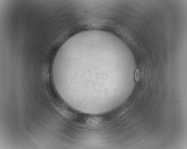 X0000068740599200605192347