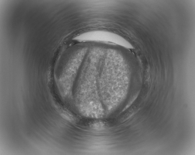 X0000068740600200605192347