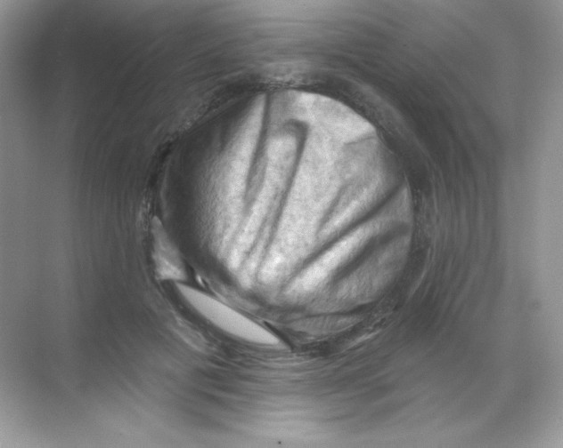 X0000068740601200605192347