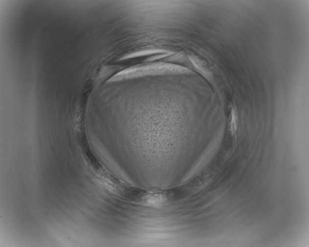 X0000068740604200605192347