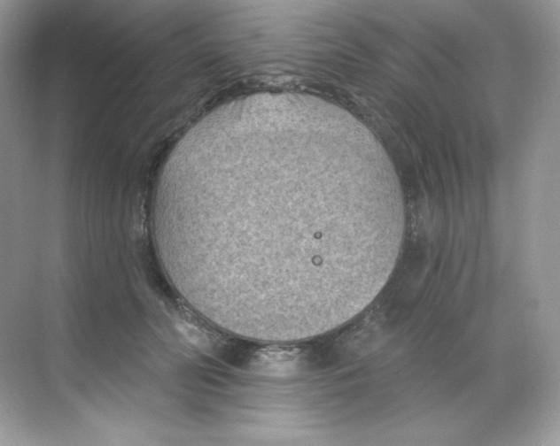 X0000068740606200605192347