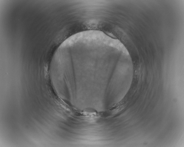 X0000068740610200605192347