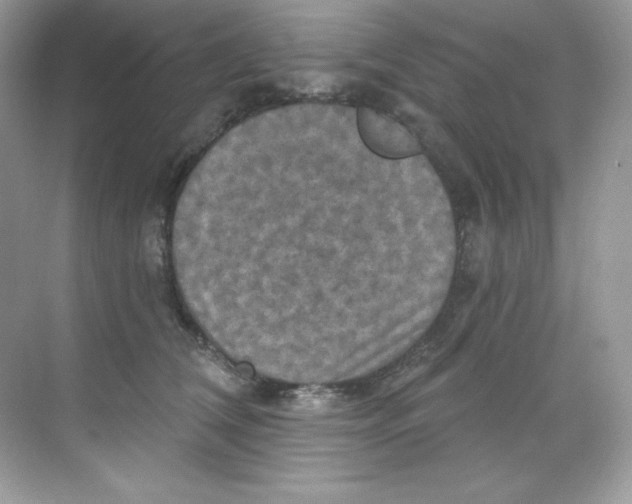 X0000068740612200605192347