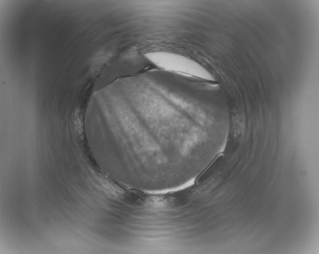 X0000068740613200605192347