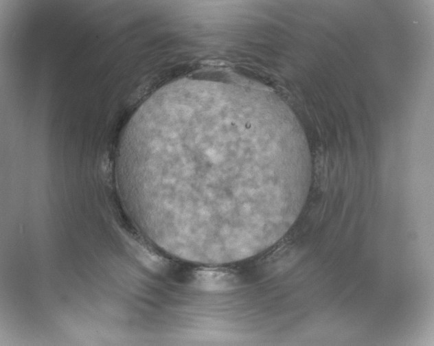 X0000068740614200605192347