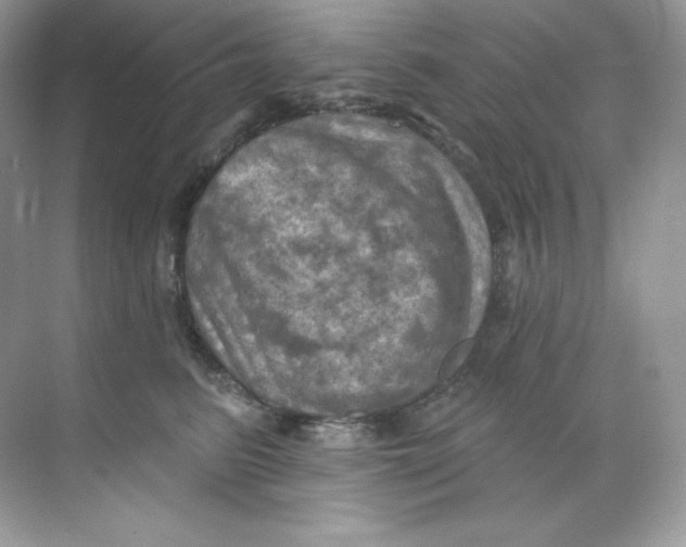 X0000068740615200605192347