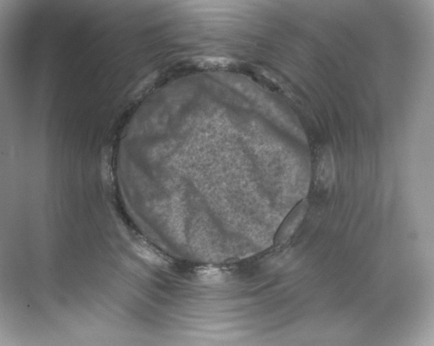 X0000068740616200605192347