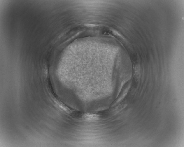 X0000068740617200605192347