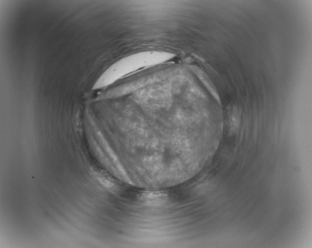 X0000068740619200605192346