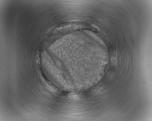 X0000068740620200605192346