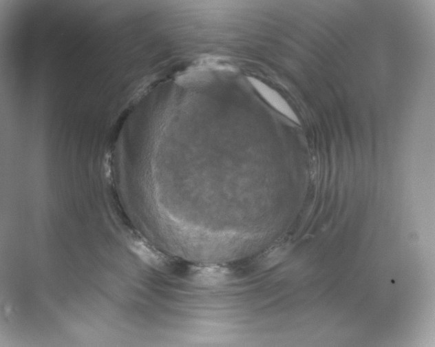 X0000068740621200605192346