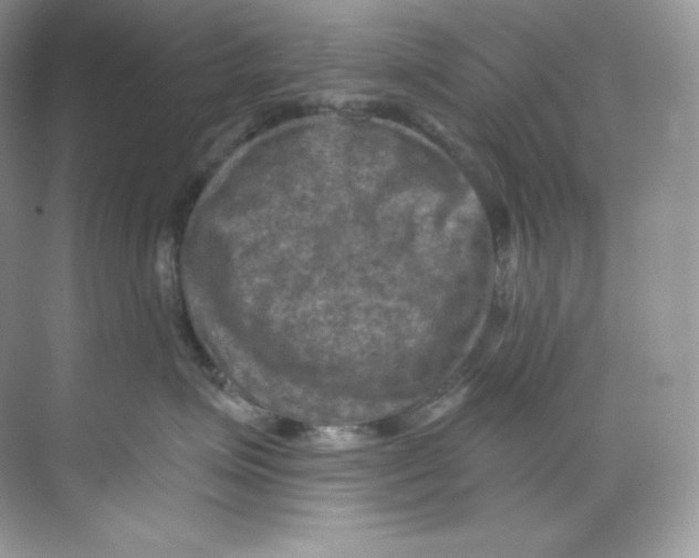 X0000068740623200605192346