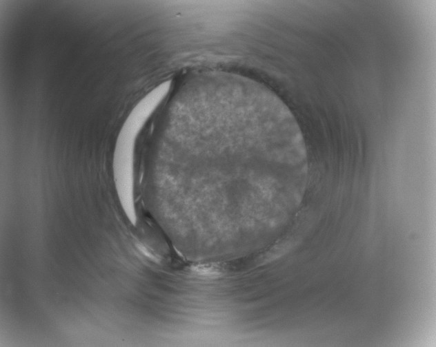 X0000068740624200605192346