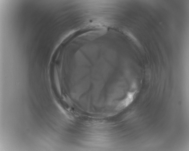 X0000068740626200605192346