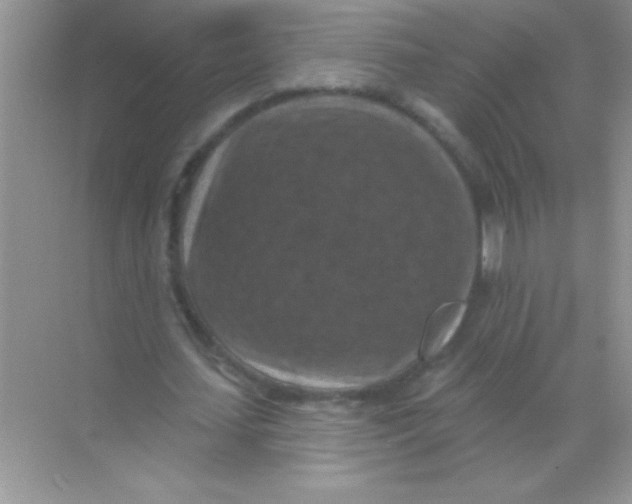 X0000068740627200605192346