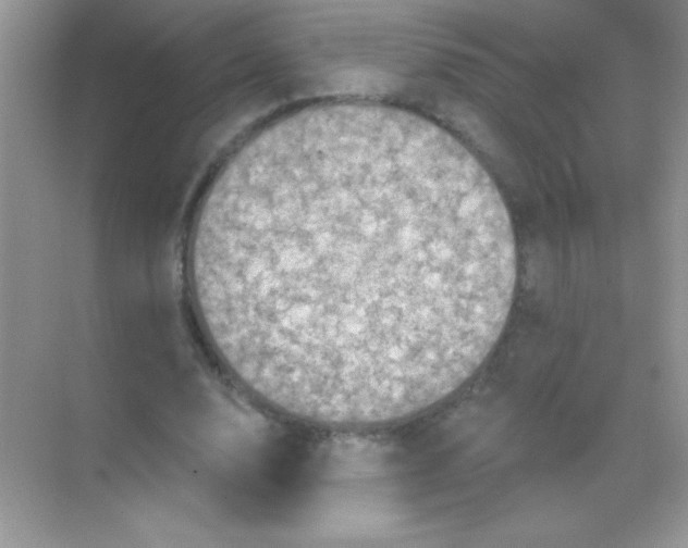 X0000068740632200605192346