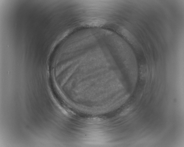 X0000068740634200605192346