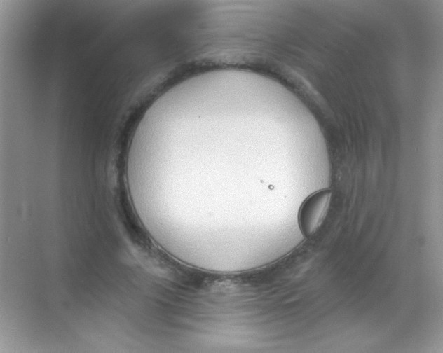 X0000068740635200605192346