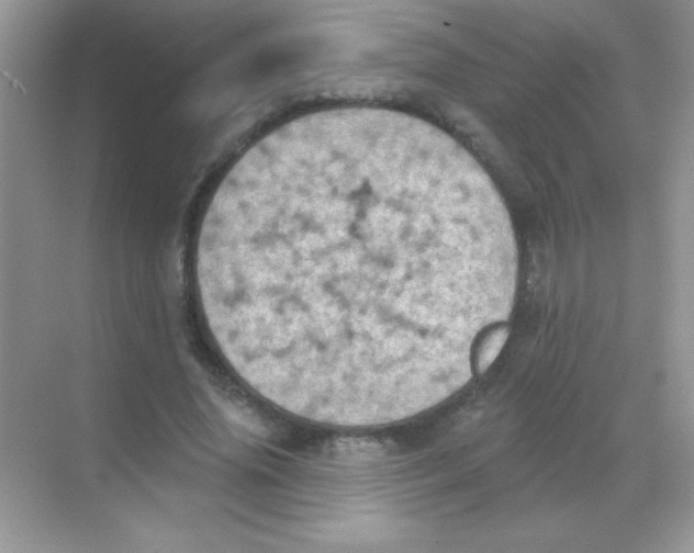 X0000068740636200605192346