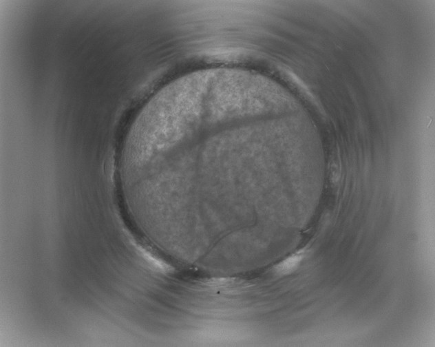 X0000068740637200605192346